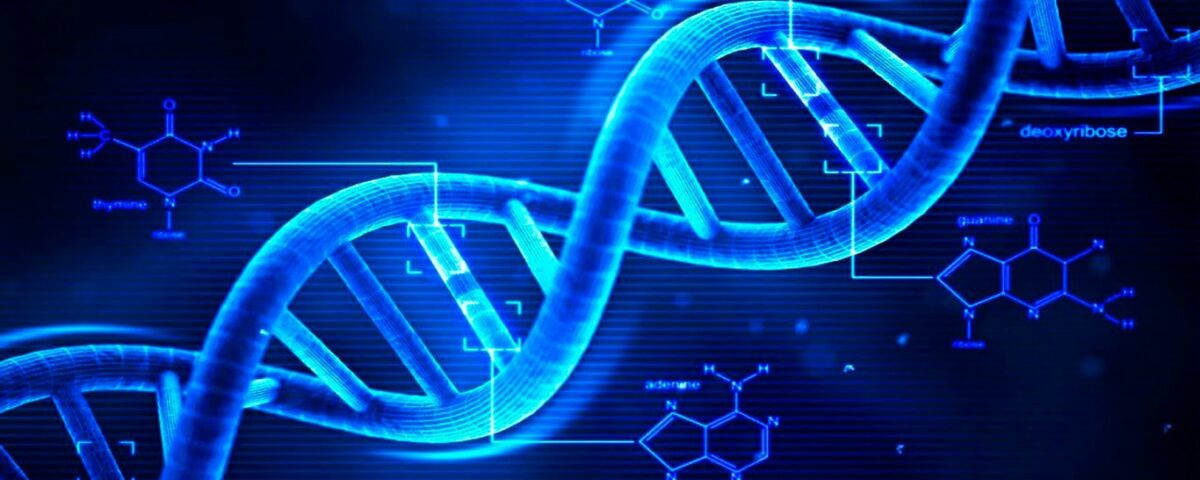 DNA
