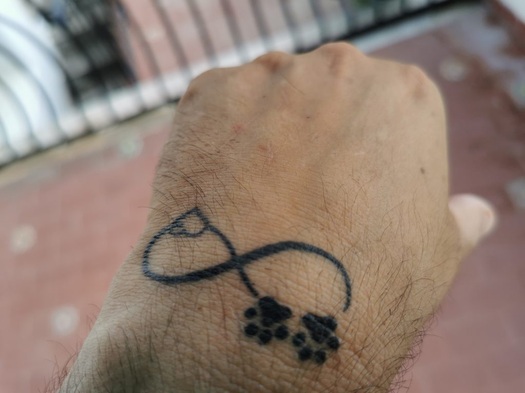 Cats - Tattoo