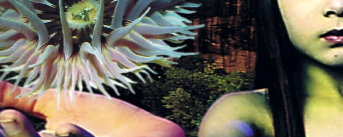Future Sound of London - Lifeforms