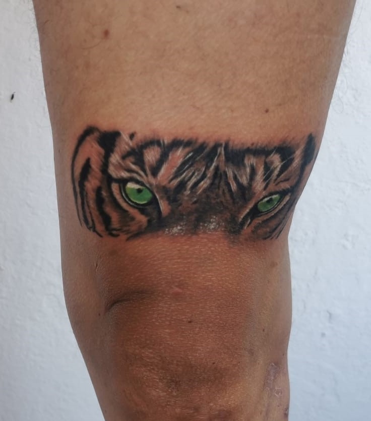 Tigre - Tattoo