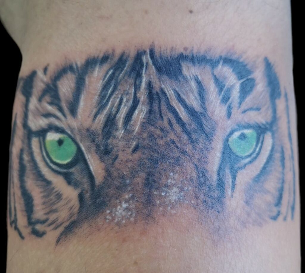 Tigre - Tattoo