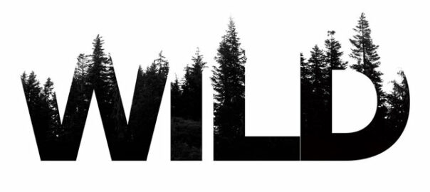 Wild - Tattoo